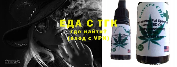 хмурый Гусев