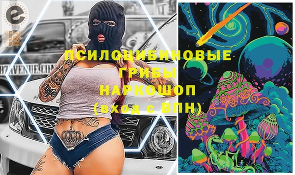 хмурый Гусев