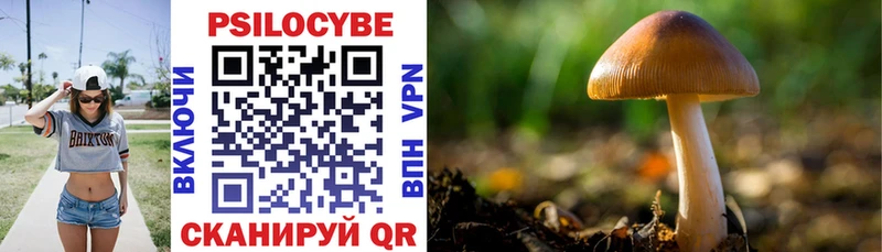 Купить закладки  Красноуфимск  Галлюциногенные грибы Psilocybine cubensis 